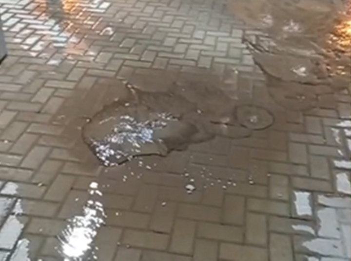 Foto: captura de pantalla video