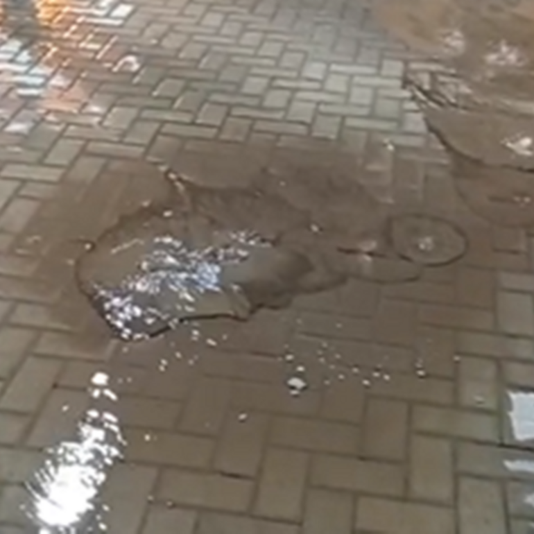 Foto: captura de pantalla video