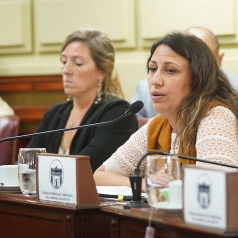 Imagen de Fentanilo contaminado: Diputados Provinciales aprobaron una declaración de apoyo a las familias de las víctimas