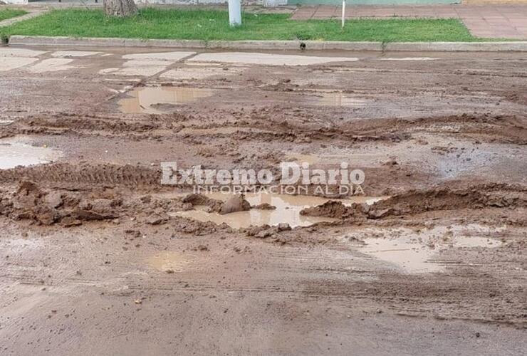 Imagen de Vecino reclama daños en el pavimento por desvío de camiones en Alejandro Gómez al 790