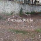 Imagen de Reclama por falta de paso peatonal seguro en Filiberti y Luis Pasteur