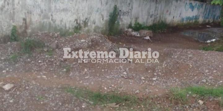 Imagen de Reclama por falta de paso peatonal seguro en Filiberti y Luis Pasteur