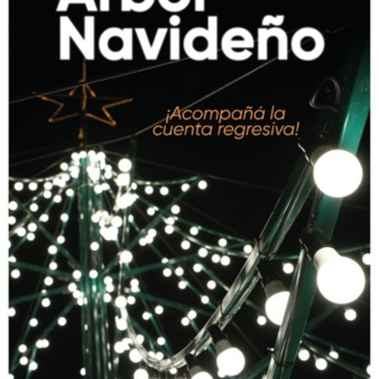 Imagen de Se realizará el encendido del Árbol Navideño en Arroyo Seco