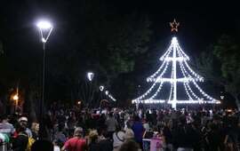 Imagen de Encendieron el gran &Aacute;rbol Navide&ntilde;o en el Bv. Mansueto Maiorano