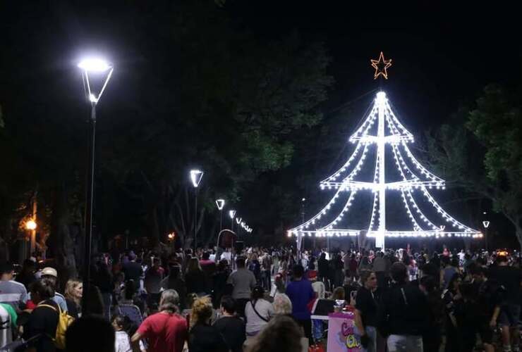 Imagen de Encendieron el gran &Aacute;rbol Navide&ntilde;o en el Bv. Mansueto Maiorano