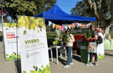 Imagen de La municipalidad de Arroyo Seco realizará un nuevo "Eco Canje" en la Plaza 9 de Julio