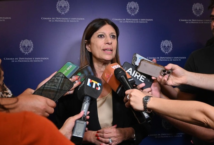 Imagen de Clara Garc&iacute;a: �Despu&eacute;s del a&ntilde;o de la Reforma Constitucional, en 2026 vamos por las leyes para la Santa Fe del futuro�