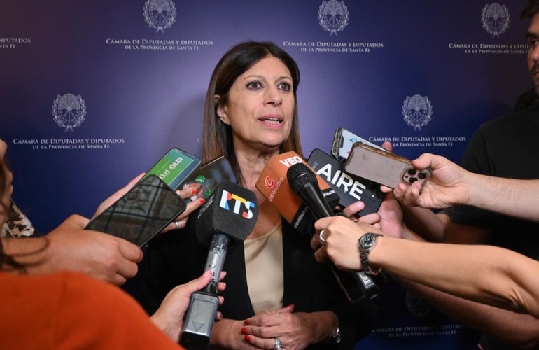 Imagen de Clara Garc&iacute;a: �Despu&eacute;s del a&ntilde;o de la Reforma Constitucional, en 2026 vamos por las leyes para la Santa Fe del futuro�