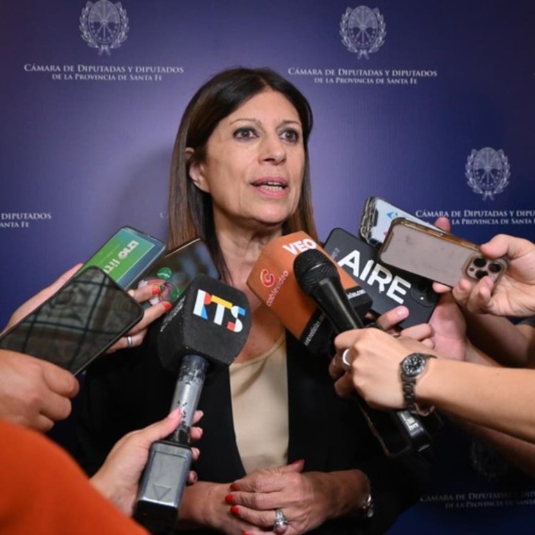 Imagen de Clara Garc&iacute;a: �Despu&eacute;s del a&ntilde;o de la Reforma Constitucional, en 2026 vamos por las leyes para la Santa Fe del futuro�