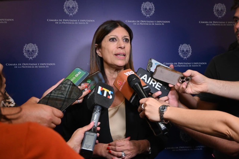 Imagen de Clara Garc&iacute;a: �Despu&eacute;s del a&ntilde;o de la Reforma Constitucional, en 2026 vamos por las leyes para la Santa Fe del futuro�