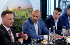 Imagen de Santa Fe present&oacute; el ambicioso proyecto "Circuito de Ingreso a Puertos" para transformar la log&iacute;stica regional