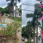 Imagen de Iron&iacute;a navide&ntilde;a en Santa Fe: vecinos decoran un bache como &aacute;rbol de Navidad ante la falta de respuestas