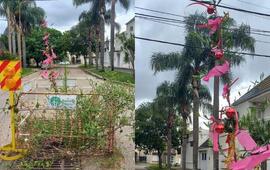 Imagen de Iron&iacute;a navide&ntilde;a en Santa Fe: vecinos decoran un bache como &aacute;rbol de Navidad ante la falta de respuestas