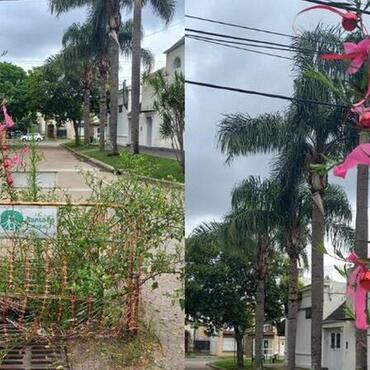 Imagen de Iron&iacute;a navide&ntilde;a en Santa Fe: vecinos decoran un bache como &aacute;rbol de Navidad ante la falta de respuestas