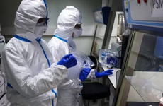 Imagen de Alerta epidemiol&oacute;gica: confirman tres casos de Gripe A (H3N2) en el pa&iacute;s y Santa Fe refuerza la vigilancia