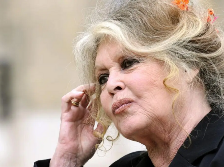 Imagen de Muri&oacute; Brigitte Bardot a los 91 a&ntilde;os: adi&oacute;s a la "diosa indomable" y leyenda del cine franc&eacute;s