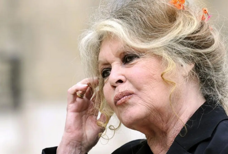 Imagen de Muri&oacute; Brigitte Bardot a los 91 a&ntilde;os: adi&oacute;s a la "diosa indomable" y leyenda del cine franc&eacute;s