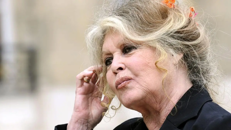 Imagen de Muri&oacute; Brigitte Bardot a los 91 a&ntilde;os: adi&oacute;s a la "diosa indomable" y leyenda del cine franc&eacute;s