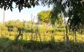 Imagen de Vecinos de San Nicol&aacute;s y Pellegrini denuncian olores nauseabundos y falta de mantenimiento en la zona