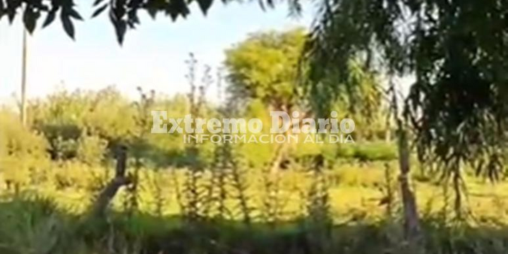 Imagen de Vecinos de San Nicol&aacute;s y Pellegrini denuncian olores nauseabundos y falta de mantenimiento en la zona