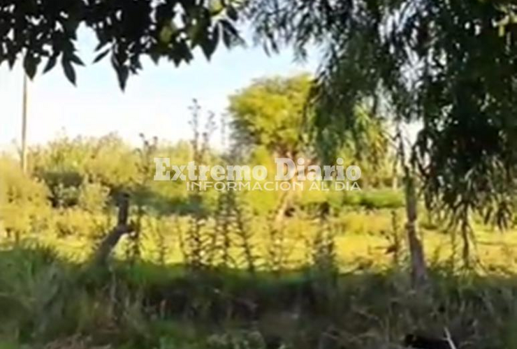 Imagen de Vecinos de San Nicol&aacute;s y Pellegrini denuncian olores nauseabundos y falta de mantenimiento en la zona