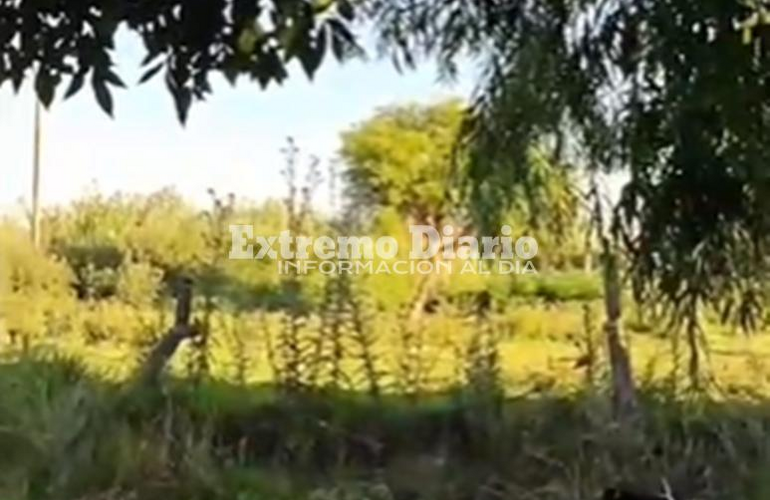 Imagen de Vecinos de San Nicol&aacute;s y Pellegrini denuncian olores nauseabundos y falta de mantenimiento en la zona