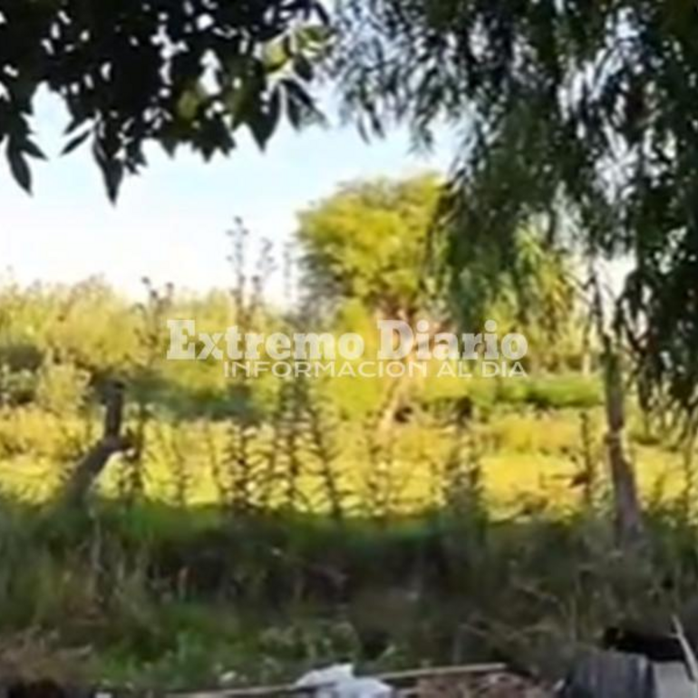 Imagen de Vecinos de San Nicol&aacute;s y Pellegrini denuncian olores nauseabundos y falta de mantenimiento en la zona