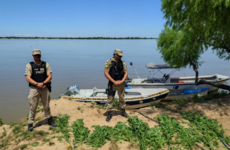 Imagen de Operativo en el Delta: secuestran plantas de marihuana en la zona de islas