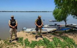 Imagen de Operativo en el Delta: secuestran plantas de marihuana en la zona de islas