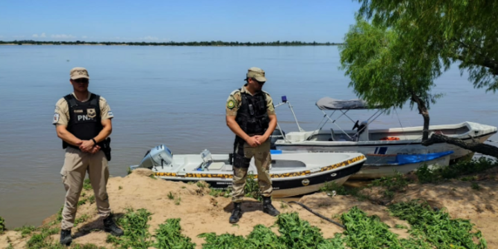 Imagen de Operativo en el Delta: secuestran plantas de marihuana en la zona de islas