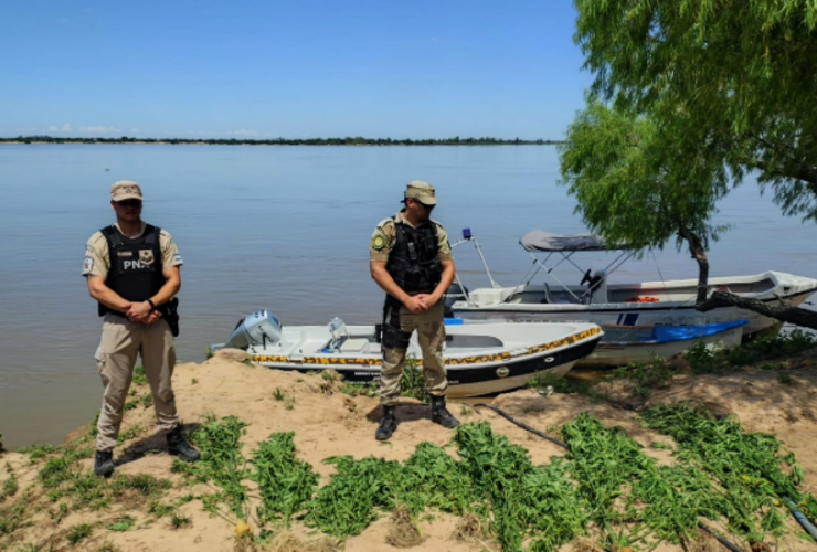 Imagen de Operativo en el Delta: secuestran plantas de marihuana en la zona de islas