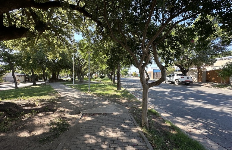 Imagen de Olores nauseabundos en Barrio G&uuml;emes: siguen los reclamos de vecinos