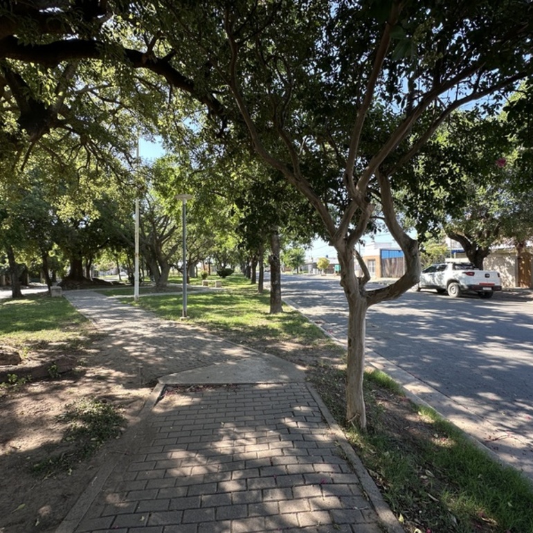 Imagen de Olores nauseabundos en Barrio G&uuml;emes: siguen los reclamos de vecinos