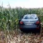 Foto: Captura de pantalla video