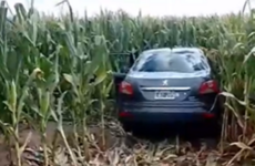 Foto: Captura de pantalla video