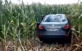 Foto: Captura de pantalla video