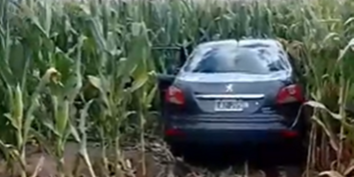 Foto: Captura de pantalla video