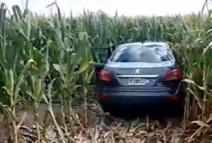 Foto: Captura de pantalla video