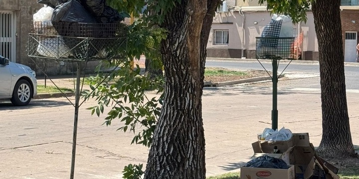 La imagen enviada en la tarde de hoy por una vecina de esta cuadra.