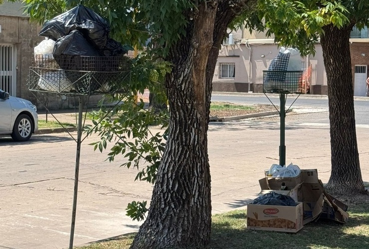 La imagen enviada en la tarde de hoy por una vecina de esta cuadra.