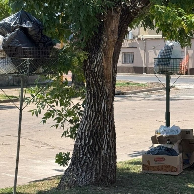 La imagen enviada en la tarde de hoy por una vecina de esta cuadra.