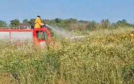 Imagen de Incendio en la costa de General Lagos: operativo conjunto logr&oacute; controlar el fuego en la zona de Bio Lagos