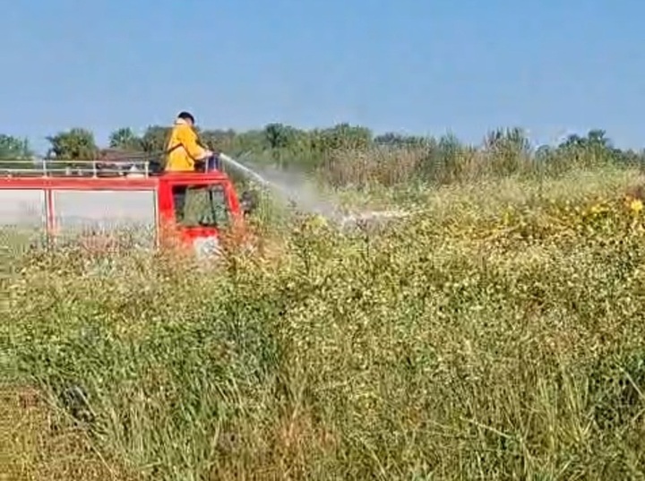 Imagen de Incendio en la costa de General Lagos: operativo conjunto logr&oacute; controlar el fuego en la zona de Bio Lagos