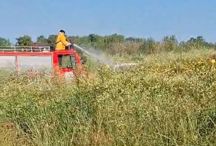 Imagen de Incendio en la costa de General Lagos: operativo conjunto logr&oacute; controlar el fuego en la zona de Bio Lagos