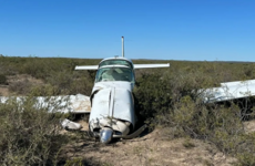 Imagen de Una avioneta de un empresario local cay&oacute; en zona rural de San Antonio Oeste