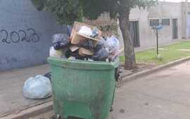 Una de las tantas im&aacute;genes tomadas estos d&iacute;as en uno de los contenedores desbordados de bolsitas.
