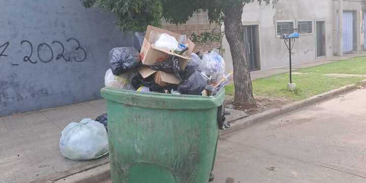 Una de las tantas im&aacute;genes tomadas estos d&iacute;as en uno de los contenedores desbordados de bolsitas.