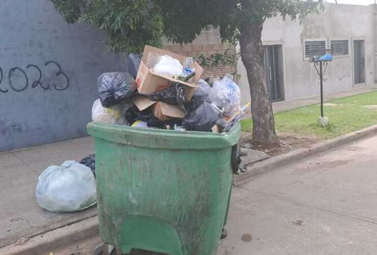 Una de las tantas im&aacute;genes tomadas estos d&iacute;as en uno de los contenedores desbordados de bolsitas.