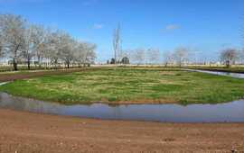 Imagen de Limpieza de piletas decantadoras y pista de atletismo: Las dos obras para las que lleg&oacute; el dinero, se aprobaron y el Ejecutivo no las realiz&oacute;