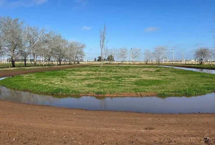 Imagen de Limpieza de piletas decantadoras y pista de atletismo: Las dos obras para las que lleg&oacute; el dinero, se aprobaron y el Ejecutivo no las realiz&oacute;